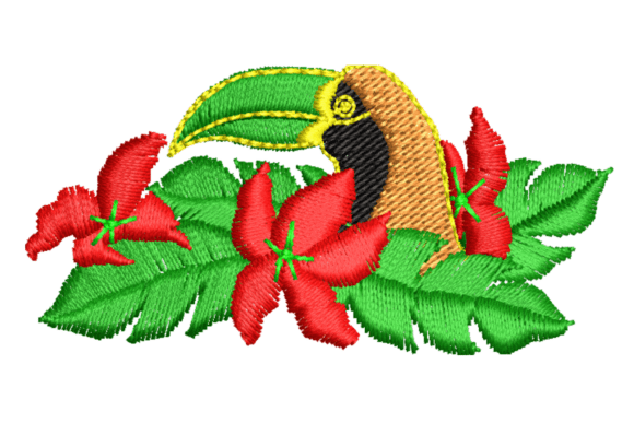 Toucan Bird Embroidery Design Review